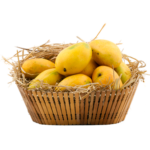 100% Premium Quality Garden Fresh Mango