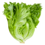 Whole Foods Market, Romaine Hearts Salad Bag Organic